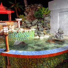 Ornamental Fishpond Image